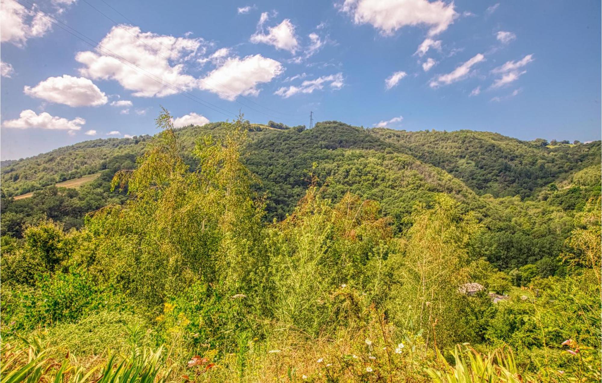 2 Bedroom Lovely Apartment In Conques-En-Rouergue Eksteriør bilde